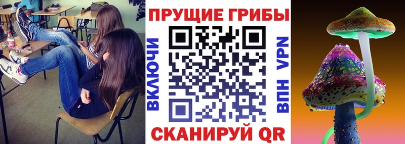 Галлюциногенные грибы прущие грибы  Собинка 